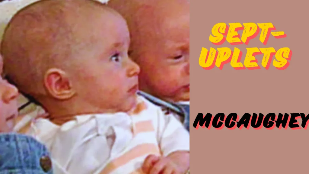 septuplets mccaughey birth and divorce rumors